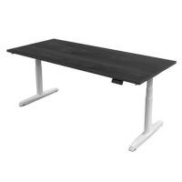 ราคา โต๊ะทำงานปรับระดับ ERGOTREND SIT 2 STAND GEN5 180 ซม. สี TWILIGHT ELM/ขาว (1179819)