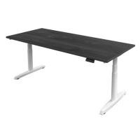 ราคา โต๊ะทำงานปรับระดับ ERGOTREND SIT 2 STAND GEN5 150 ซม. สี TWILIGHT ELM/ขาว (1179853)