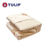 ราคา ผ้านวม TULIP BEAR 60258-DLD041 60X80 นิ้ว (1291778)