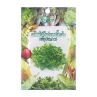 ราคา เมล็ดพันธุ์ต้นอ่อนเบบี้คะน้า GREEN GARDEN 10 กรัม (1162535)