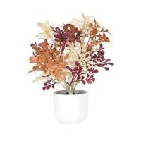ราคา ต้นไม้ประดิษฐ์ฤดูใบไม้ร่วง SPRING 28 ซม. (1283319)