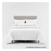 ราคา ชุดผ้าปูที่นอน 6 ฟุต 6 ชิ้น LOTUS NORDEN ND-VIRGIN (1269550)