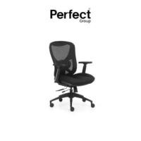 ราคา เก้าอี้ทำงานเพื่อสุขภาพ Perfect รุ่น MERCES SERIES ตัวกลาง (888165900011)