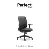ราคา เก้าอี้ทำงานเพื่อสุขภาพ Perfect รุ่น 6231B สีดำ (888165900019)