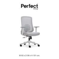 ราคา เก้าอี้ทำงานเพื่อสุขภาพ Perfect LEAF SERIES รุ่น POF-B089-1 สีขาว (888165900034)