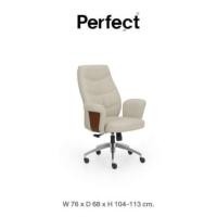 ราคา เก้าอี้ทำงานเพื่อสุขภาพ Perfect รุ่น CHICAGO M สีขาว (888165900045)