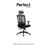 ราคา เก้าอี้ทำงานเพื่อสุขภาพ Perfect รุ่น 6206A สีดำ (888165900044)