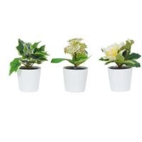 ราคา ต้นไม้ประดิษฐ์สีเขียวในกระถาง SPRING 3 ชิ้น (1283333)