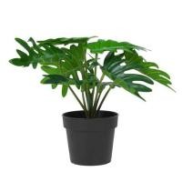 ราคา ต้นซานาดูประดิษฐ์ SPRING 20 ซม. (1283342)