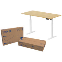 ราคา โต๊ะปรับระดับไฟฟ้า LUNIO ERGO SPACE II SIZE 120 X 60 CM (888170800152)
