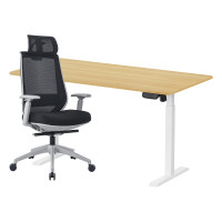 ราคา เซ็ตโต๊ะปรับระดับไฟฟ้า+เก้าอี้ทำงานเพื่อสุขภาพ LUNIO ERGO SPACE II (SIZE 160 X 80 CM) + LUNIO ERGO APOLLO SMART X2 (สีดำ/เทา) (888170800180)