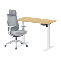 ราคา เซ็ตโต๊ะปรับระดับไฟฟ้า+เก้าอี้ทำงานเพื่อสุขภาพ LUNIO ERGO SPACE II (SIZE 120 X 60 CM) + LUNIO ERGO APOLLO SMART X2 (สีเทา) (888170800181)