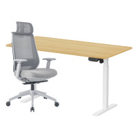 ราคา เซ็ตโต๊ะปรับระดับไฟฟ้า+เก้าอี้ทำงานเพื่อสุขภาพ LUNIO ERGO SPACE II (SIZE 160 X 80 CM) + LUNIO ERGO APOLLO SMART X2 (สีเทา) (888170800182)
