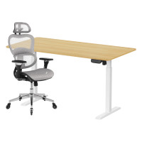 ราคา เซ็ตโต๊ะปรับระดับไฟฟ้า+เก้าอี้ทำงานเพื่อสุขภาพ LUNIO ERGO SPACE II (SIZE 160 X 80 CM) + ADAM DOT.1 THE 3D ERGO CHAIR (สีเทา) (888170800186)