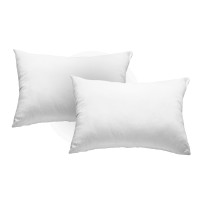 ราคา เซ็ตหมอนหนุน 2 ใบ DREAMSTOWN POLYESTER PILLOW (888170800248)