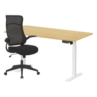 ราคา เซ็ตโต๊ะปรับระดับไฟฟ้า+เก้าอี้ทำงานเพื่อสุขภาพ LUNIO ERGO SPACE II (SIZE 160 X 80 CM) + ADAM DOT.2 ERGO CHAIR GRAVITY (สีดำ) (888170800253)