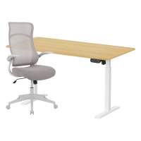 ราคา เซ็ตโต๊ะปรับระดับไฟฟ้า+เก้าอี้ทำงานเพื่อสุขภาพ LUNIO ERGO SPACE II (SIZE 160 X 80 CM) + ADAM DOT.2 ERGO CHAIR GRAVITY (สีเทา) (888170800255)