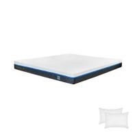 ราคา ที่นอน 5 ฟุต PICASSO SMILE M 8 นิ้ว (พร้อมหมอนหนุน 2 ใบ) (1294968)