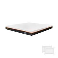 ราคา ที่นอน 5 ฟุต PICASSO SMILE L 4 นิ้ว (พร้อมหมอนหนุน 2 ใบ) (1295024)