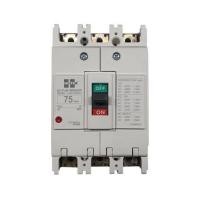 ราคา เซอร์กิตเบรกเกอร์ 3 โพล 3 เฟส HI-TEK HT125-CP 75 แอมป์ (1291437)