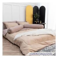 ราคา ชุดผ้าปูที่นอน 6 ฟุต (ชุด 6 ชิ้น) SANTA BEDDING สี CREAM/BROWN (1295896)