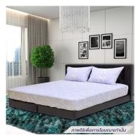 ราคา ชุดผ้าปูที่นอน 6 ฟุต (ชุด 5 ชิ้น) STEVENS SOFTEX JT03 (1295766)