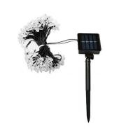 ราคา ไฟจัดสวน SOLAR CARINI AR-004 0.04 วัตต์ RGB สีขาว (1289061)