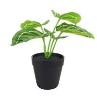 ราคา ต้นไม้ประดิษฐ์ใบเขียว LALA HOME MN10 (1065806)