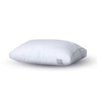 ราคา หมอนหนุน ERGONOMIC MR.BIG รุ่น NEW BODYSCALE PILLOW NO.5 สีขาว (888166800011)