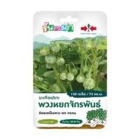 ราคา เมล็ดพันธุ์ มะเขือเปราะ พวงหยกจักรพันธ์ ศรแดง 150 เมล็ด (1188501)