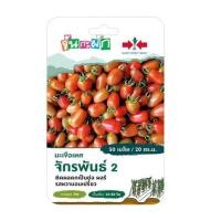 ราคา เมล็ดพันธุ์ มะเขือเทศผลรี จักรพันธ์ 2 ศรแดง 50 เมล็ด (1191423)