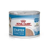 ราคา อาหารเปียกสุนัข ROYAL CANIN STARTER MOUSE 195 ก. (1200230)