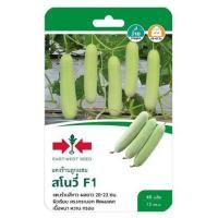 ราคา เมล็ดพันธุ์แตงร้าน F1 สโนวี่ ศรแดง (1229570)