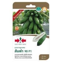 ราคา เมล็ดพันธุ์มะละกอ ส้มตำ 90 ศรแดง (1229587)