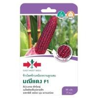 ราคา เมล็ดพันธุ์ข้าวโพดข้าวเหนียว F1 มณีแดง ศรแดง (1229593)