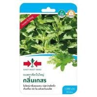 ราคา เมล็ดพันธุ์กะเพราเขียวใบใหญ่ กลิ่นเกสร ศรแดง (1230294)