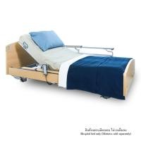 ราคา เตียงผู้ป่วย เตียงผู้สูงอายุไฟฟ้า ALLWELL รุ่น VENTA 5 ไกร์ (888114900011)