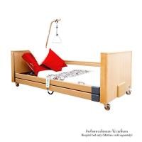 ราคา เตียงผู้ป่วย เตียงผู้สูงอายุไฟฟ้า ALLWELL รุ่น DALI LOW ENTRY 4 ไกร์ สีไม้ (888114900012)