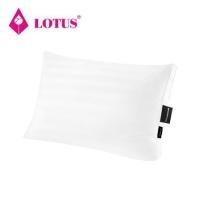 ราคา หมอนสุขภาพ LOTUS ATTITUDE CARE MEDIUM 20X30 นิ้ว สีขาว (1247381)