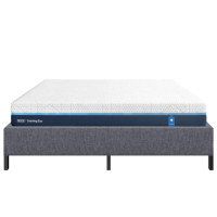 ราคา ที่นอนเมมโมรี่โฟม 3.5 ฟุต NOOZ EVENING EVO มาพร้อมกับฐานเตียง 3.5 ฟุต NOOZ PIXEL BED FRAME (ไม่มีหัวเตียง) (888170800347)