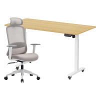 ราคา เซ็ตโต๊ะปรับระดับไฟฟ้า มีล้อ LUNIO ERGO SPACE II (SIZE 160 X 80 CM) + เก้าอี้ทำงานเพื่อสุขภาพ LUNIO ERGO STARLIGHT CHAIR (สีขาว) (888170800324)