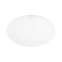 ราคา ไฟเพดาน LED PHILIPS CL210 15.5 นิ้ว 24 วัตต์ DAYLIGHT สีขาว (1216387)