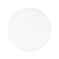 ราคา ไฟเพดาน LED CARINI R1252-M 15 นิ้ว 24 วัตต์ DAYLIGHT สีขาว (1274615)