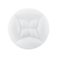 ราคา ไฟเพดาน LED SHINING AKIRA 15 นิ้ว 24 วัตต์ DAYLIGHT สีขาว (1283077)