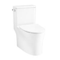 ราคา สุขภัณฑ์ 1 ชิ้น COTTO C105617 วิสต้า 4.8 ลิตร สีขาว (1239079)