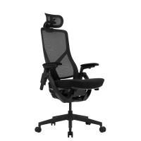 ราคา เก้าอี้ทำงาน TTRacing Aeroflex ผ้าตาข่าย Ergochair - Graphite Black (888120500092)