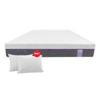 ราคา ที่นอน 3.5 ฟุต BEDISUPREME รุ่น XTREME-FORCE หนา 10 นิ้ว (888120800168)