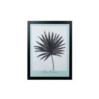 ราคา ภาพติดฝาผนัง CHIC REPUBLIC รุ่น PALM LEAF/30X40 (888122800161)