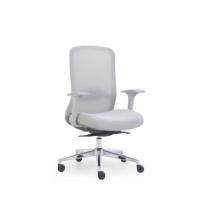 ราคา เก้าอี้ทำงานเพื่อสุขภาพ PERFECT รุ่น HIFU/MG สีเทา (888165900085)