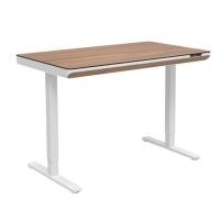 ราคา โต๊ะปรับระดับไฟฟ้า FURDINI VISTA THEA2D-FM1S2-1200L 120 ซม. สีไลท์ วอลนัท (1277904)